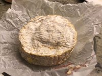 IMG 3332  a rescue Camembert