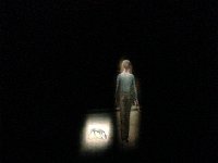 IMG 3340  in a multi-media presentation