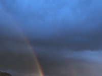 IMG 9626  in the usual place