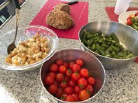 IMG 9673  16 August from the garden and elsewhere