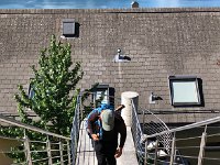 IMG 9819  26 August heading out again