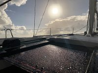 IMG 2932  fresh-water rinse