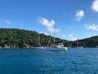 IMG 2957  some of our neighbors