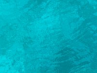 IMG 2970  what color!