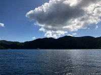 IMG 2976  Francis Bay