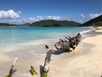 IMG 2988  hurricane related?