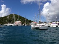 IMG 4906  nothing but cats!