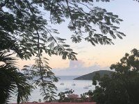 IMG 2678  mimosa and harbor