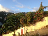 IMG 4768  solar panels