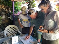 IMG 2695  a general overview of the plan