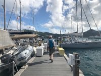 IMG 2697  in the marina