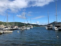 IMG 2707  the harbor