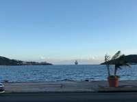 IMG 2726  a floating city leaves