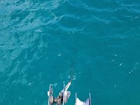 IMG 4796  view from the bow