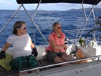 IMG 4807  making sure that the cilantro stays free