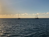 IMG 2791  neighbors the other way