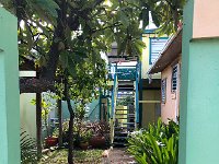 IMG 2795  Puerto Rican cat