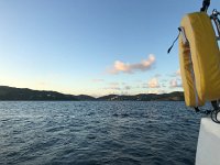 IMG 2828  evening approaches