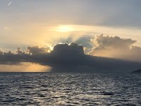 IMG 2907  a growing shower