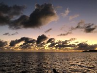 IMG 2917  amazing grays