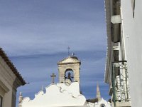 IMG 5497  Herons nest in the high points