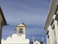 IMG 5498  Heron nests a little closer