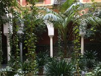 IMG 5507  typical residential courtyard interior