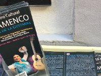 IMG 5515  read all about it!