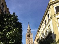 IMG 5517  tower of the cathedral of Seville