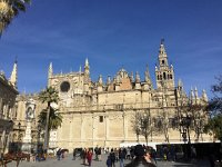 IMG 5528  cathedral of Seville