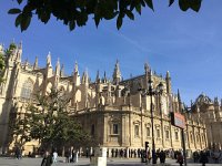 IMG 5532  cathedral of Seville