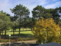 IMG 5407  view from the balcony to the golf course