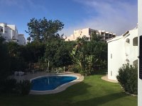 IMG 5408  back yard at Mimosa apt