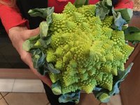 IMG 5423  Vegetable art