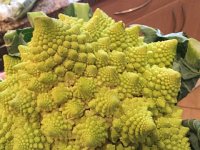 IMG 5425  Vegetable art