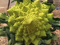 IMG 5426  Vegetable art