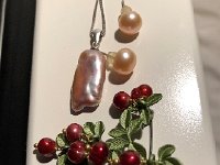 IMG 6313  Jewelry Nikki gave me went to Zurich