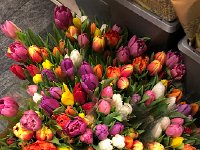 IMG 6316  but didn&#39;t purchase