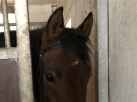 IMG 6332  Munich is ready to go out!