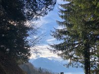 IMG 6290  coming down the hill