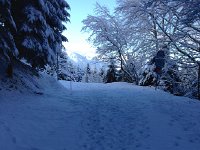 IMG 0500  checking on accessibility for hiking group