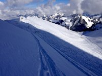 IMG 0519  afternoon tracks