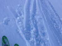 IMG 0521  skis and snow