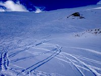 IMG 0526  trying for art