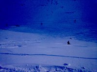 IMG 0528  trying for art