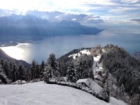 IMG 0534  the upper lake environment