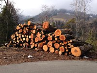 IMG 0560  19 Feb - log deck near les Avants