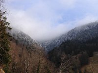 IMG 0563  rime on the trees