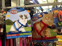 IMG 0282  Woody was the model??