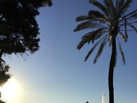 IMG 5068  a jet d&#39;eau like in Geneva!